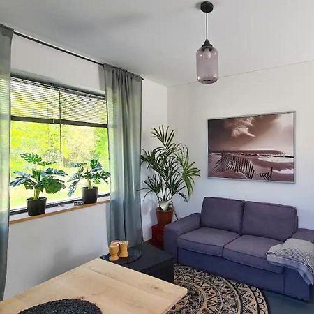 Studio Tussen De Bossen En De Bollenvelden 노르트바이커하우트 외부 사진